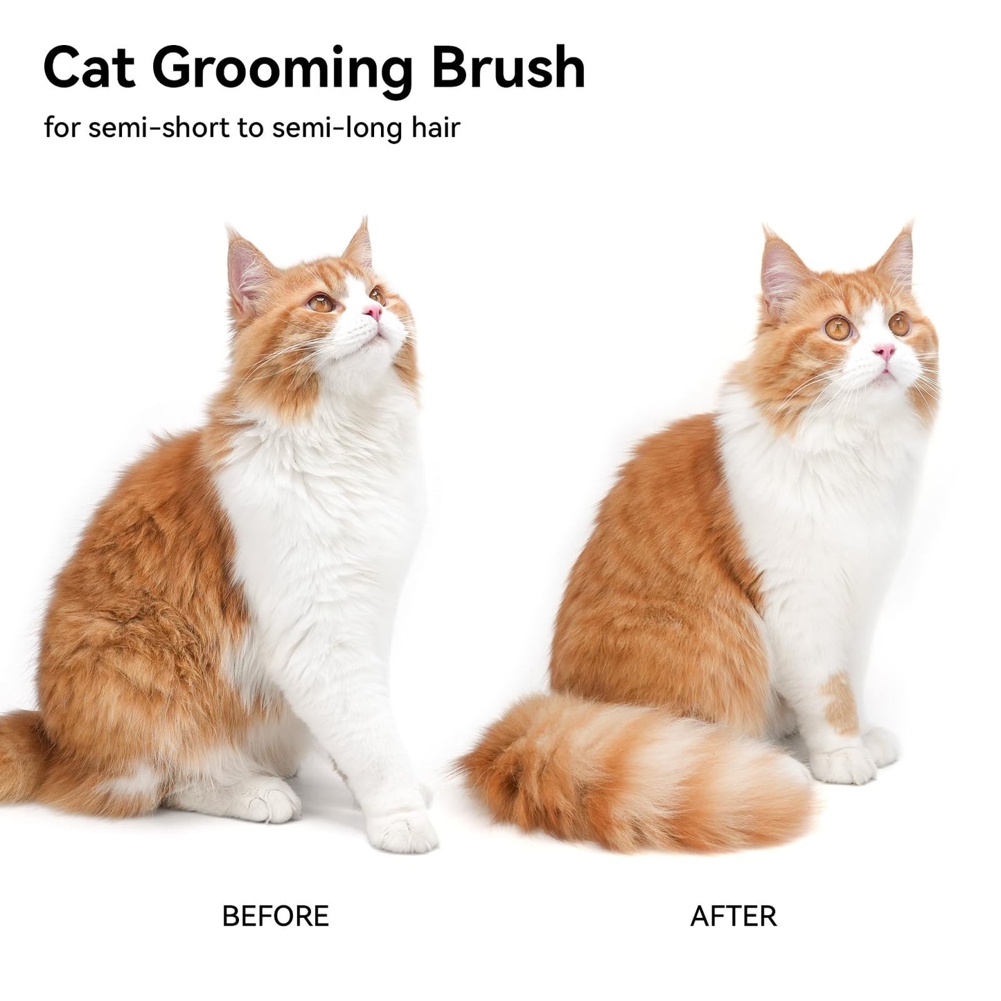 Aumuca Cat Brush for Indoor Cats – Removes Loose Fur