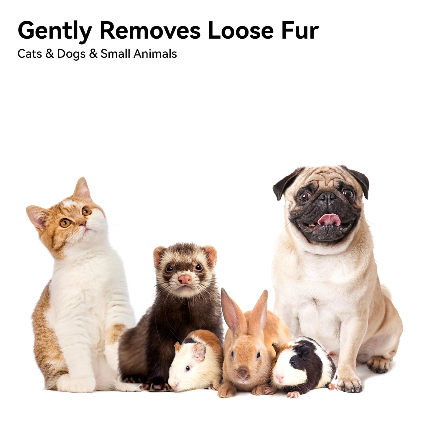 Aumuca Cat Brush for Indoor Cats – Removes Loose Fur