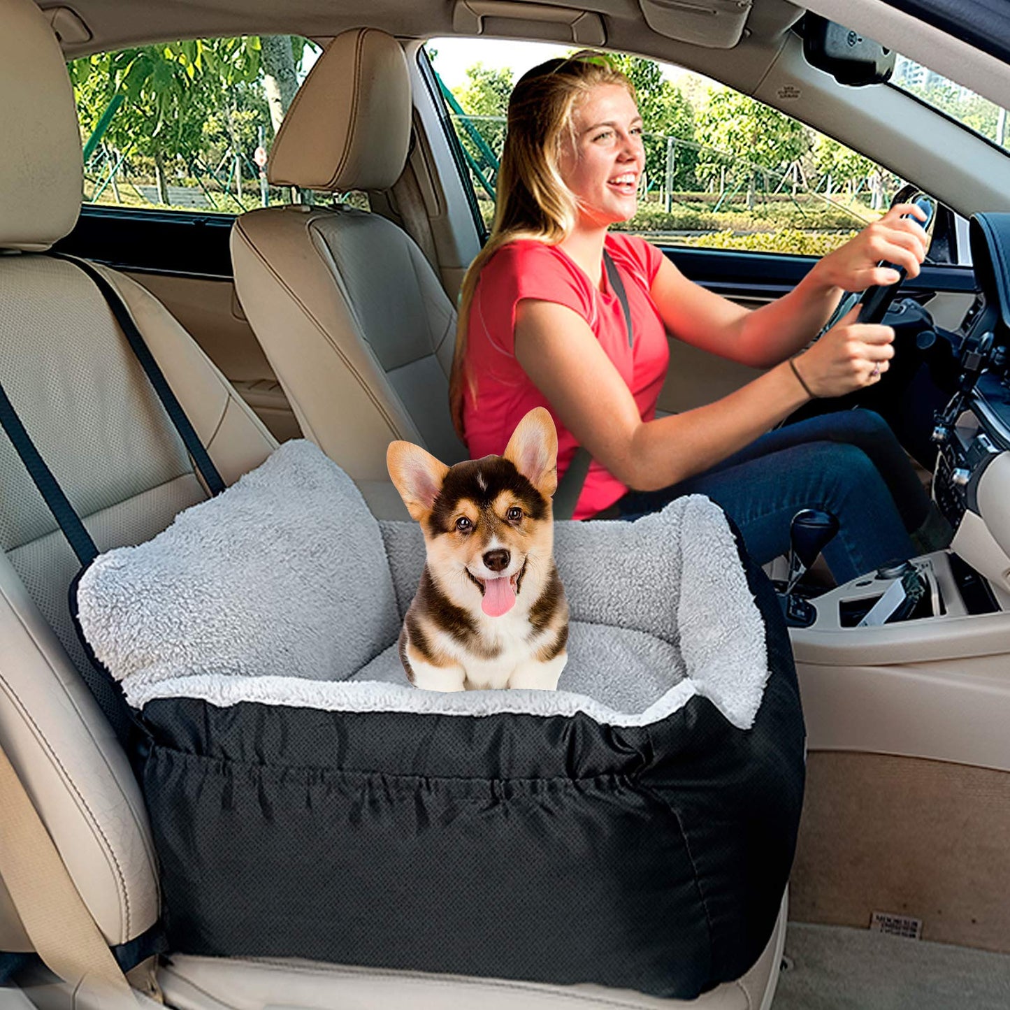 BurgeonNest Pet Car Seat for Dogs up to 25 lbs