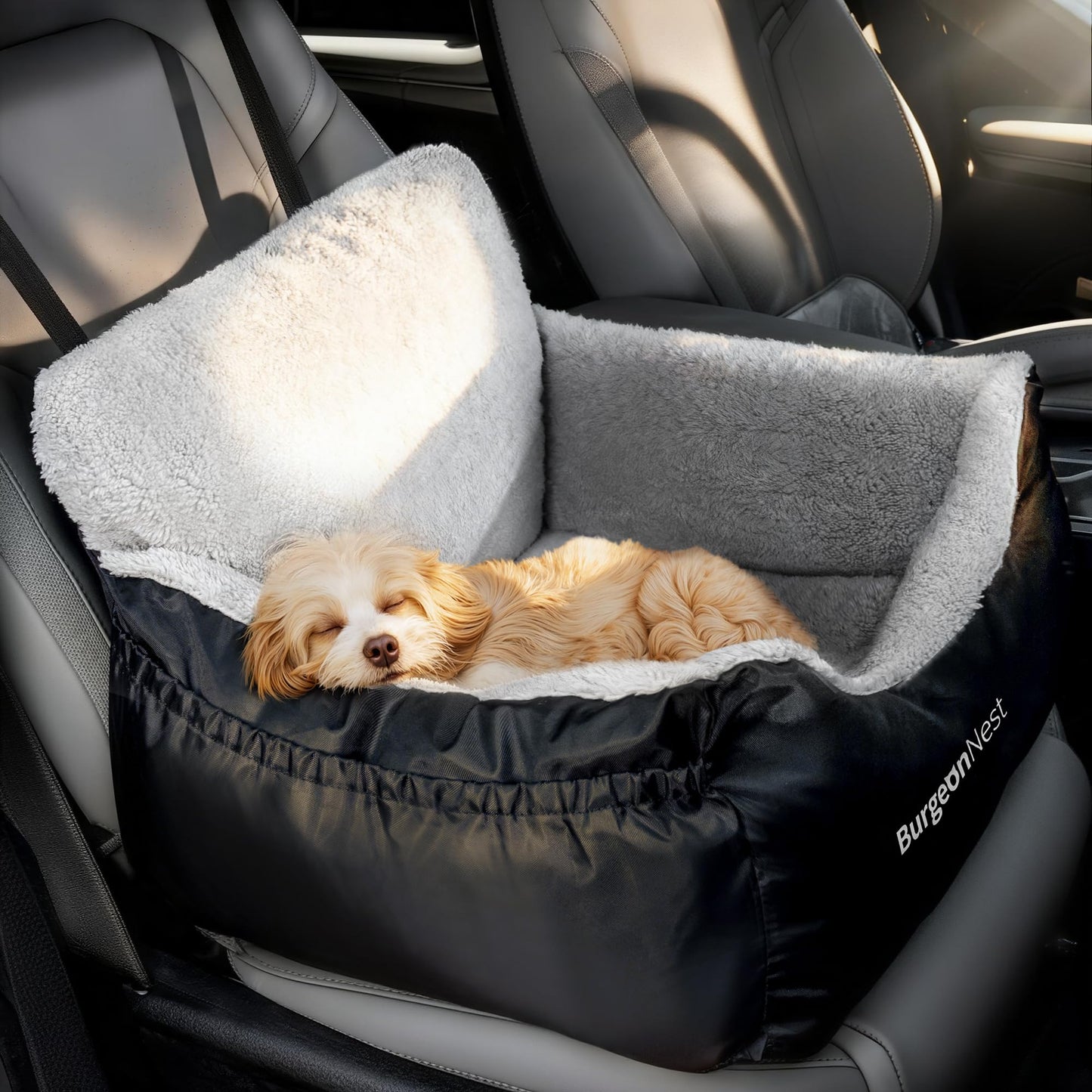 BurgeonNest Pet Car Seat for Dogs up to 25 lbs